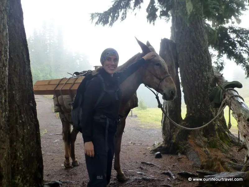 Katalin (foreground) and mule (back).
