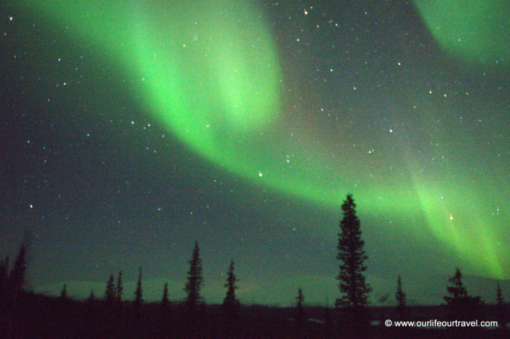 Northern lights (aurora borealis, revontuli) above Pallas-Yllästunturi National Park, Lapland, Finland