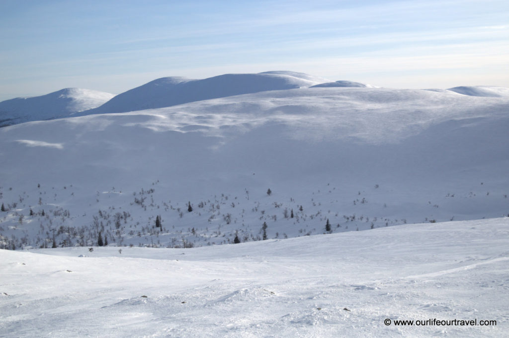 Pallas-Yllästunturi National Park, Lapland, Finland: cross country skiing