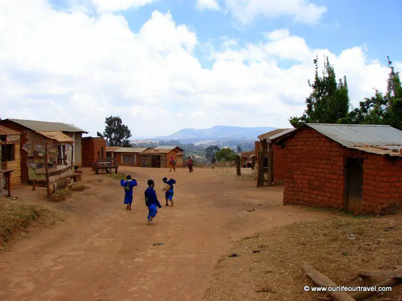 Children on their way from a countryside school
