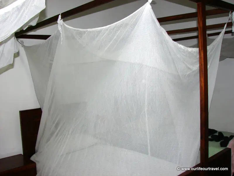 All the beds in the hotel had mosquito nets
