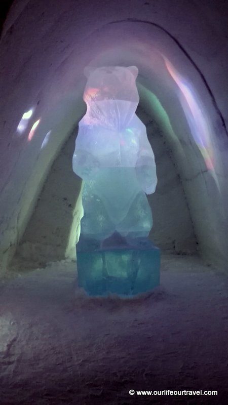 ice bear