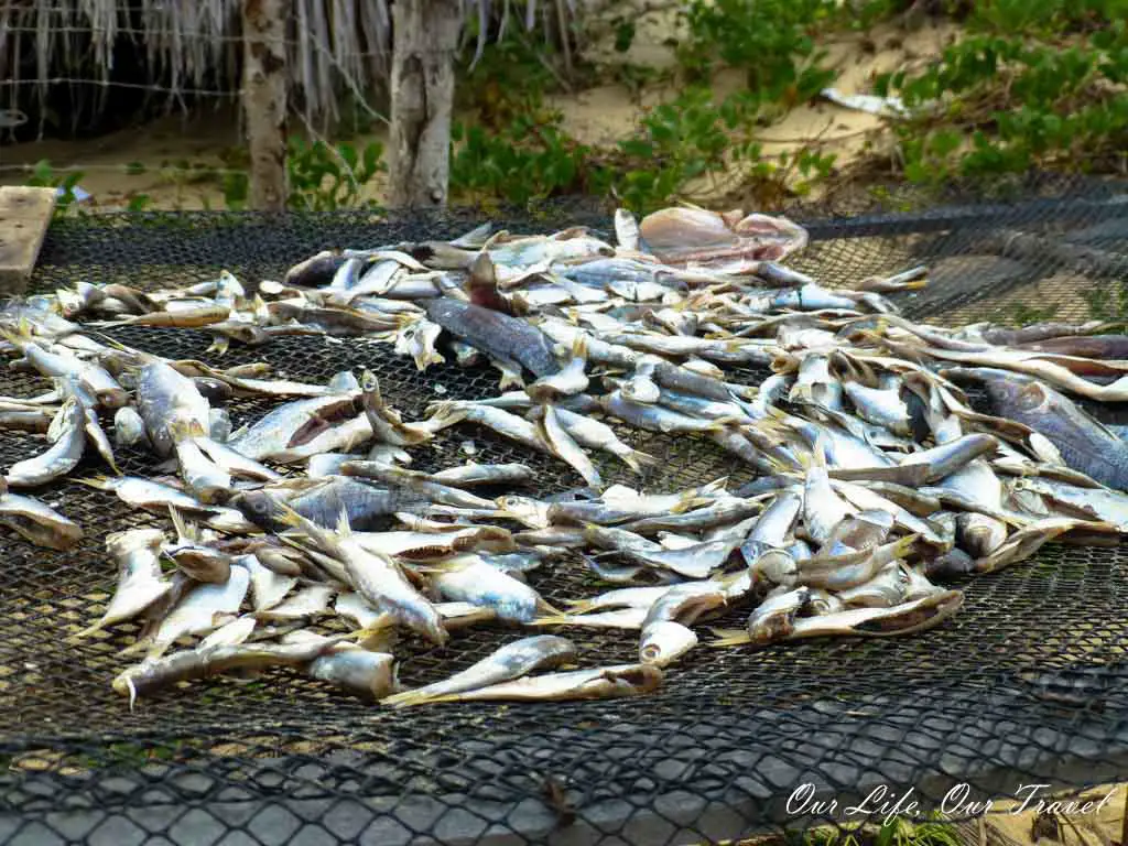 Dried fish - on the way to Atins