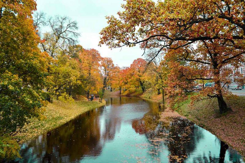 Autumn Colors in Riga.