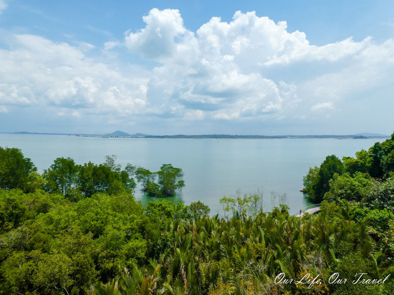 The view from the lookout tower on Ubin Island