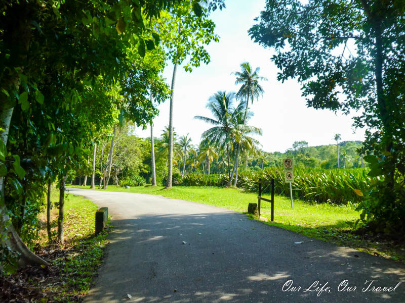 Roads and general landscape on Pulau ubin