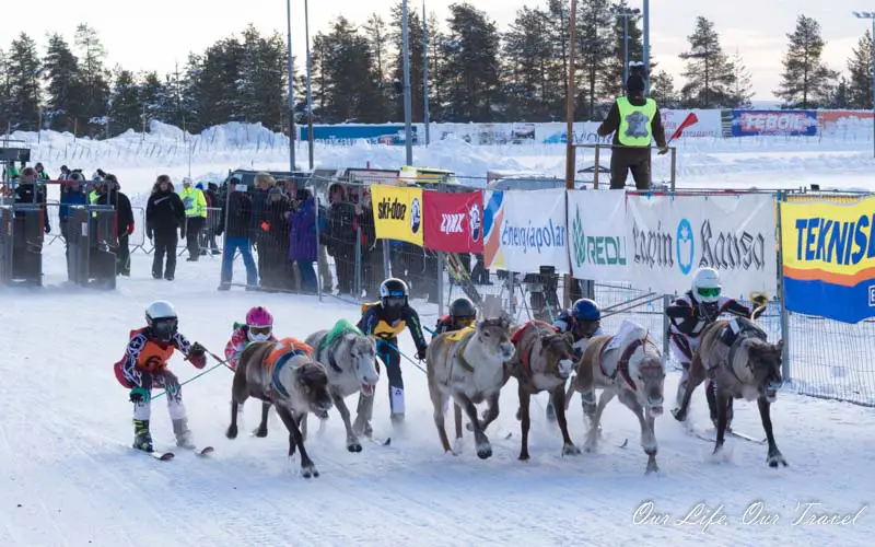 reindeer racing rovaniemi porocup