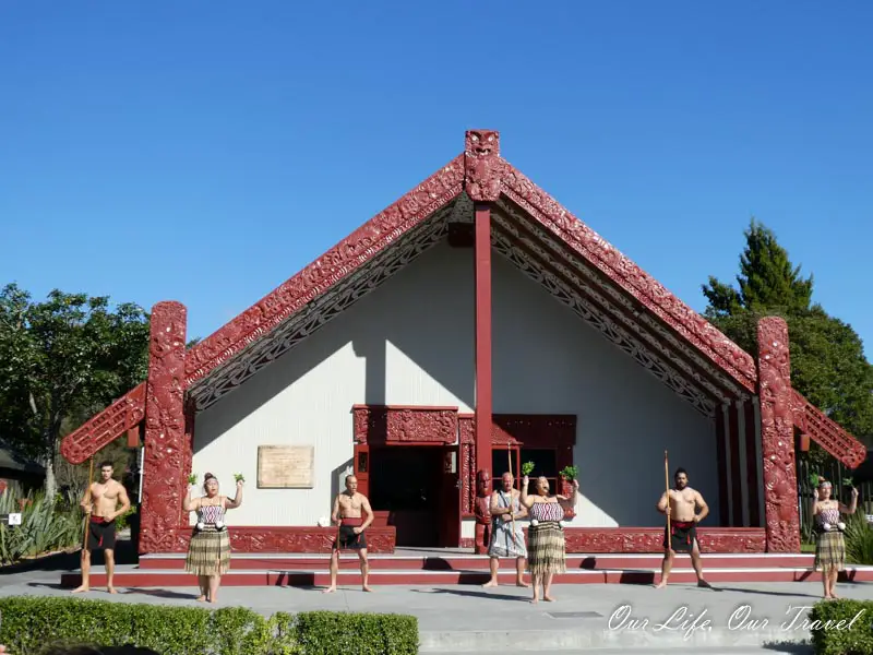 Maori Performance NZ