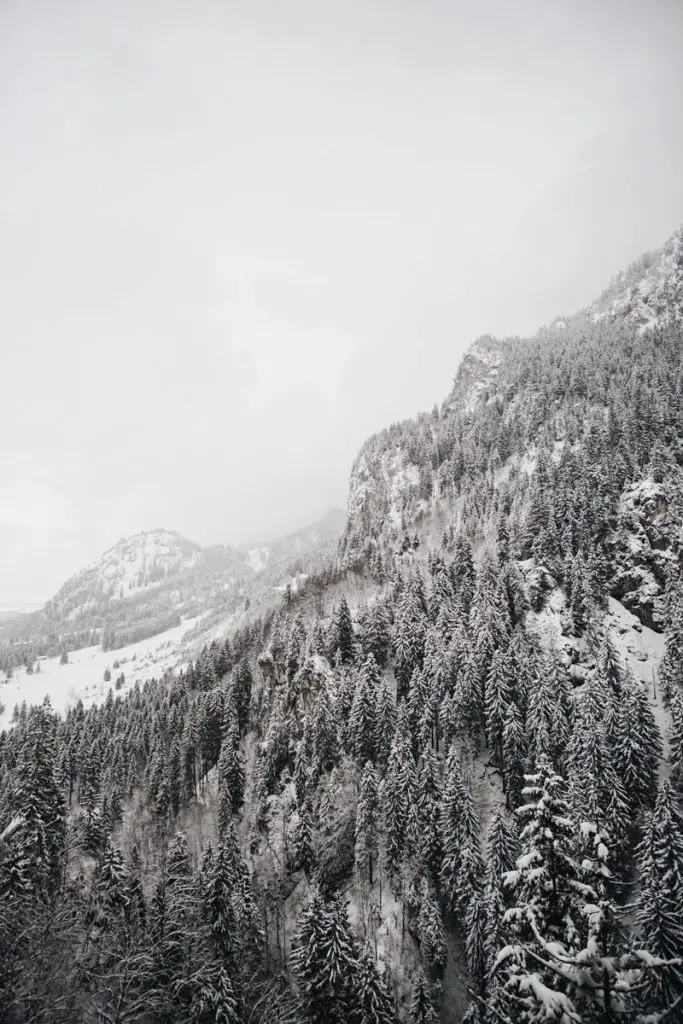 Neuschwanstein télen