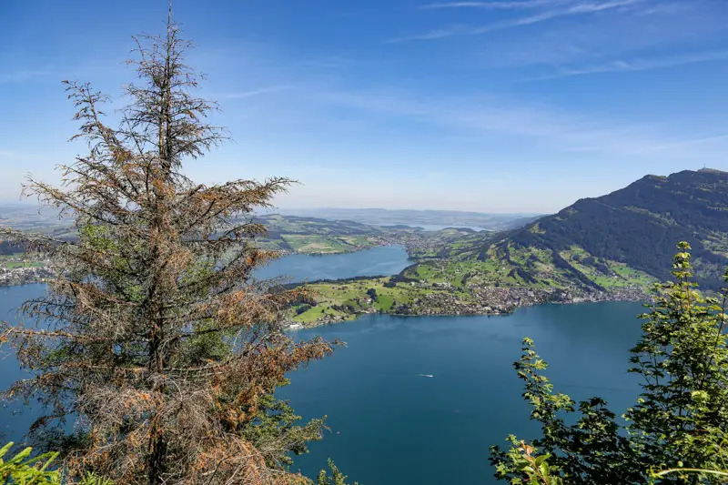 Bürgenstock views